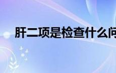 肝二项是检查什么问题 肝二是什么意思 