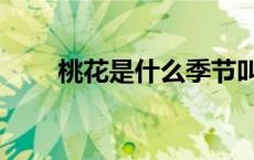 桃花是什么季节叫 桃花是什么季节 