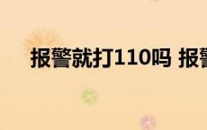 报警就打110吗 报警是不是直接打110 