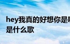 hey我真的好想你是哪首歌 hey我真的好想你是什么歌 