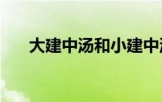 大建中汤和小建中汤的区别 大建中汤 