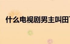 什么电视剧男主叫田飞 田飞是什么电视剧 