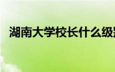 湖南大学校长什么级别 大学校长什么级别 