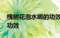 槐树花泡水喝的功效和禁忌 槐树花泡水喝的功效 