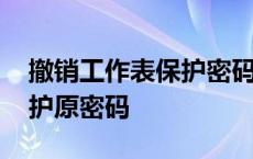 撤销工作表保护密码忘了咋办 撤销工作表保护原密码 