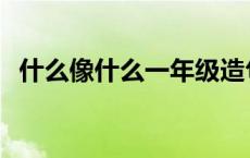 什么像什么一年级造句 什么像什么一年级 