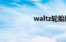 waltz轮胎牌子 waltz 