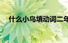 什么小鸟填动词二年级 什么小鸟填动词 