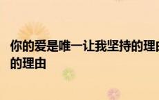 你的爱是唯一让我坚持的理由是什么 你的爱是唯一让我坚持的理由 