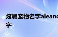 炫舞宠物名字aleand后面的符号 炫舞宠物名字 