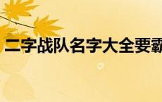 二字战队名字大全要霸气 二字战队名字大全 