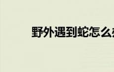 野外遇到蛇怎么办 遇到蛇怎么办 