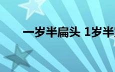 一岁半扁头 1岁半宝宝扁头纠正成功 