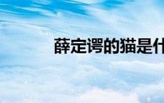 薛定谔的猫是什么意思 薛定锷 