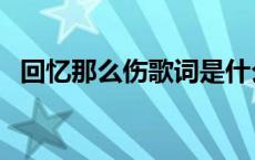 回忆那么伤歌词是什么歌 回忆那么伤歌词 