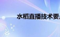 水稻直播技术要点 水稻直播技术 