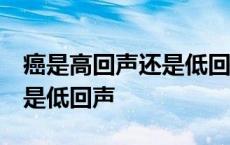 癌是高回声还是低回声 边界清 癌是高回声还是低回声 