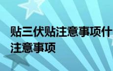 贴三伏贴注意事项什么水-果可以吃 贴三伏贴注意事项 