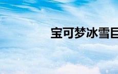 宝可梦冰雪巨龙 冰雪巨龙 