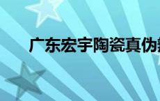 广东宏宇陶瓷真伪辨别 广东宏宇陶瓷 