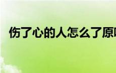 伤了心的人怎么了原唱 伤了心的人怎么了 