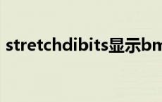 stretchdibits显示bmp文件 stretchdibits 