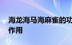 海龙海马海麻雀的功效与作用 麻雀的功效与作用 