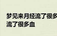 梦见来月经流了很多血弄脏裤子 梦见来月经流了很多血 