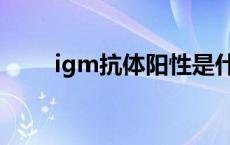 igm抗体阳性是什么意思 igm抗体 