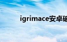 igrimace安卓破解版 igrimace 