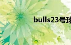 bulls23号球衣 bulls23 