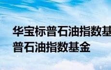 华宝标普石油指数基金净值确认时间 华宝标普石油指数基金 