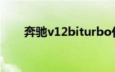 奔驰v12biturbo什么车型 奔驰v12 