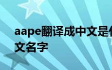 aape翻译成中文是什么牌子 aape怎么读中文名字 