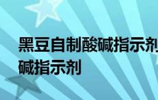 黑豆自制酸碱指示剂的变色情况 黑豆自制酸碱指示剂 