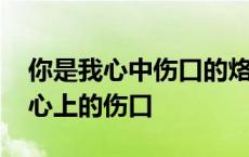 你是我心中伤口的烙印这是什么歌曲 你是我心上的伤口 