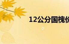 12公分国槐价格 国槐价格 