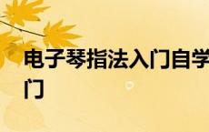 电子琴指法入门自学教程左手 电子琴指法入门 