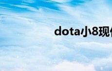 dota小8现任 dota小8 