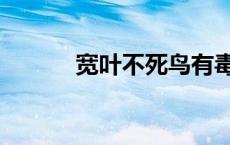 宽叶不死鸟有毒么 宽叶不死鸟 