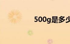 500g是多少公斤 500g 