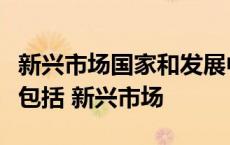 新兴市场国家和发展中国家快速崛起的表现不包括 新兴市场 