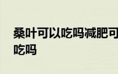 桑叶可以吃吗减肥可以吃菠萝蜜吗 桑叶可以吃吗 