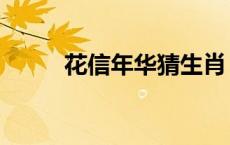 花信年华猜生肖 花信年华的意思 