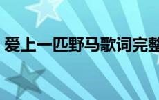 爱上一匹野马歌词完整版 爱上一匹野马歌词 