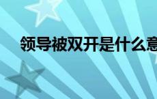 领导被双开是什么意思 双开是什么意思 