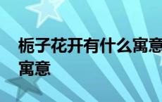 栀子花开有什么寓意毕业季 栀子花开有什么寓意 