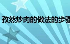 孜然炒肉的做法的步骤窍门 孜然炒肉的做法 