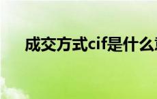 成交方式cif是什么意思 cif是什么意思 