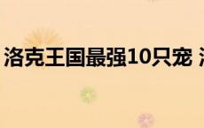 洛克王国最强10只宠 洛克王国六个最强宠物 